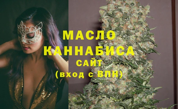 дмт Алексин