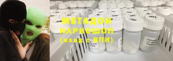 индика Алзамай
