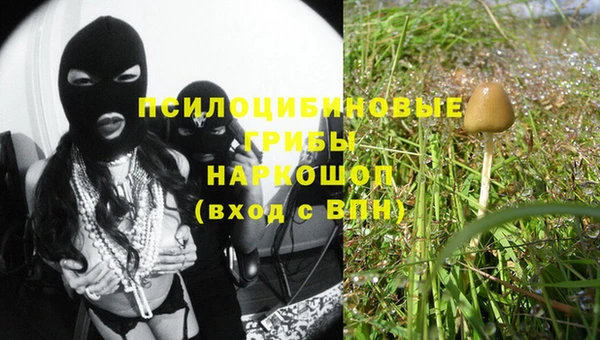 дмт Алексин
