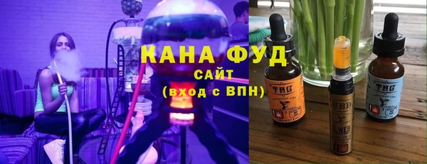 индика Алзамай